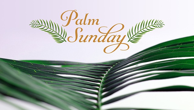 kids sermon for Palm Sunday