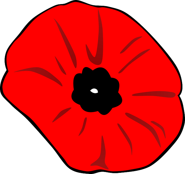 Remembrance day poppy