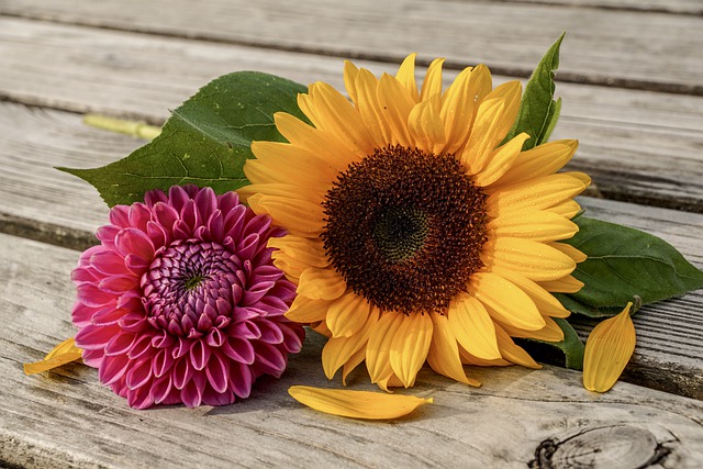 Thanksgiving flowers